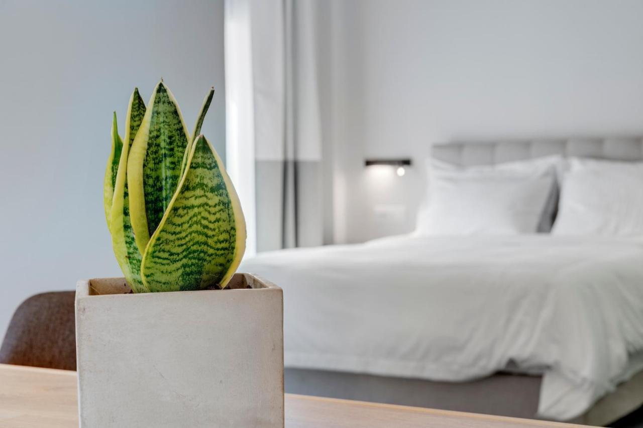 Times Elegant Rooms Ermúpoli Kültér fotó
